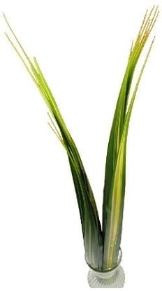 Flax Leaves (Premium)