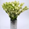Fresh Tuberoses (Premium)