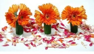 Wedding Centerpiece Oz