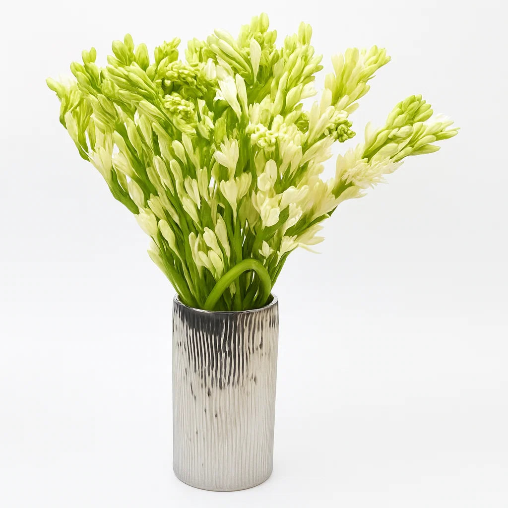 Fresh Tuberoses (Premium)