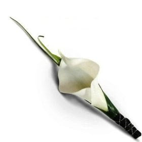 Boutonniere Aqua Elegance