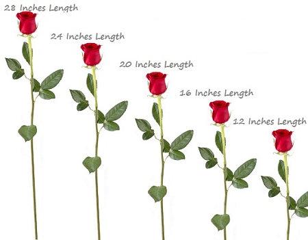 Roses - 16 Inches Length