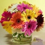 Wedding Centerpiece Butterfly