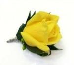 Boutonniere Monet