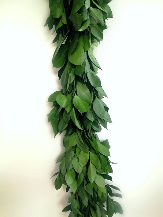 Israeli Ruscus Garland