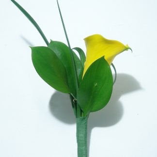 Boutonniere Sunlight