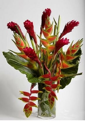 Fresh Tropical Flowers