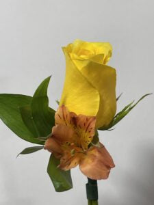 Boutonniere Autumn