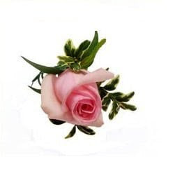 Boutonniere Baby Pink